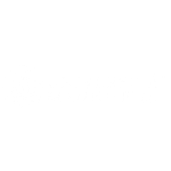 Universität Mannheim