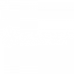 uni mannheim penemue