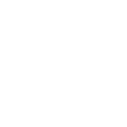 uni mannheim penemue